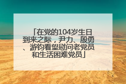 在党的104岁生日到来之际，尹力、殷勇、游钧看望慰问老党员和生活困难党员