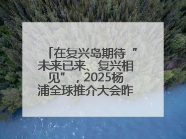 在复兴岛期待“未来已来、复兴相见”，2025杨浦全球推介大会昨晚举行