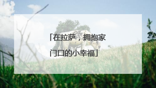 在拉萨，拥抱家门口的小幸福