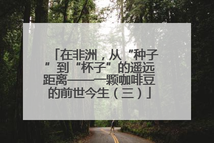在非洲，从“种子”到“杯子”的遥远距离——一颗咖啡豆的前世今生（三）