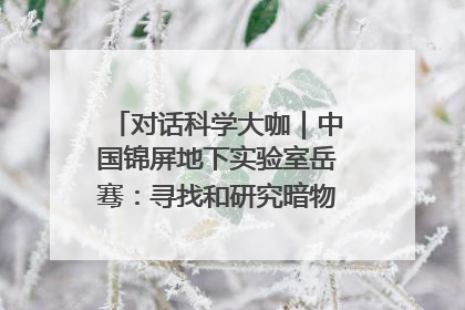 对话科学大咖｜中国锦屏地下实验室岳骞：寻找和研究暗物质，就是要去突破人类的认知边界