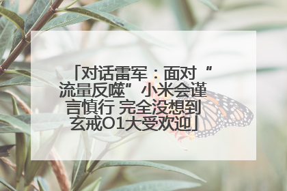 对话雷军：面对“流量反噬”小米会谨言慎行 完全没想到玄戒O1大受欢迎