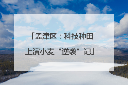孟津区：科技种田 上演小麦“逆袭”记
