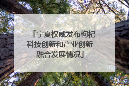 宁夏权威发布枸杞科技创新和产业创新融合发展情况