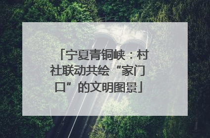 宁夏青铜峡：村社联动共绘“家门口”的文明图景