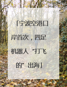 宁波空港口岸首次，四足机器人“打飞的”出海