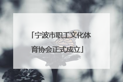 宁波市职工文化体育协会正式成立