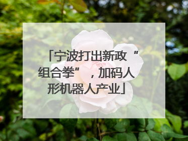 宁波打出新政“组合拳”，加码人形机器人产业