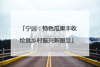 宁远：特色瓜果丰收绘就乡村振兴新图景