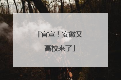 官宣！安徽又一高校来了