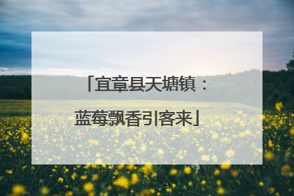 宜章县天塘镇：蓝莓飘香引客来