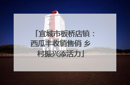 宜城市板桥店镇：西瓜丰收销售俏 乡村振兴添活力