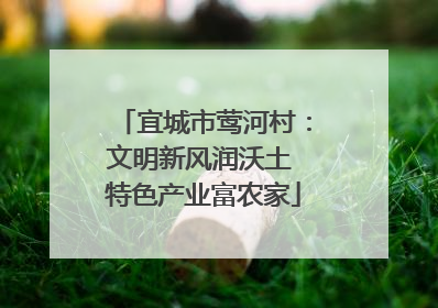 宜城市莺河村：文明新风润沃土 特色产业富农家