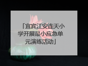 宜宾江安连天小学开展最小应急单元演练活动