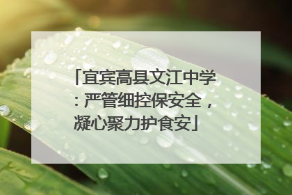 宜宾高县文江中学：严管细控保安全，凝心聚力护食安