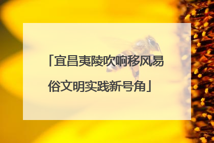宜昌夷陵吹响移风易俗文明实践新号角