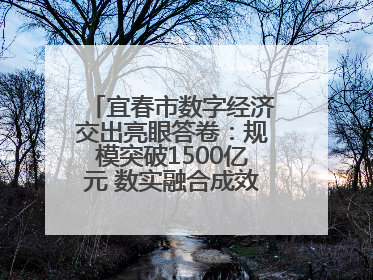 宜春市数字经济交出亮眼答卷：规模突破1500亿元 数实融合成效领跑全省（图）