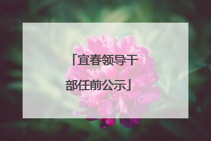 宜春领导干部任前公示