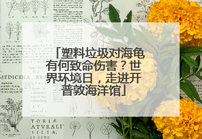 塑料垃圾对海龟有何致命伤害？世界环境日，走进开普敦海洋馆