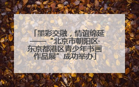墨彩交融，情谊绵延——“北京市朝阳区·东京都港区青少年书画作品展”成功举办