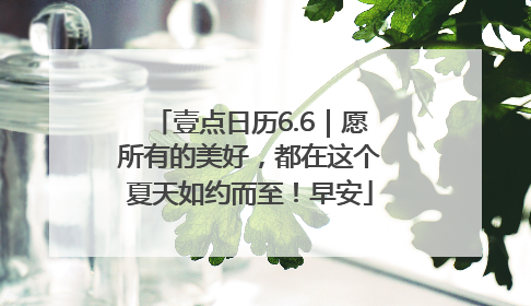 壹点日历6.6｜愿所有的美好，都在这个夏天如约而至！早安