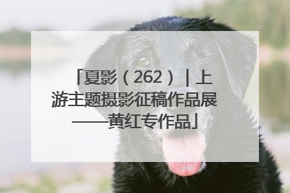 夏影（262）｜上游主题摄影征稿作品展——黄红专作品