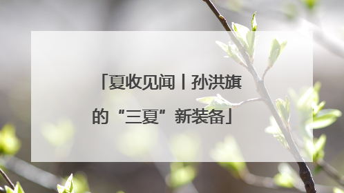 夏收见闻丨孙洪旗的“三夏”新装备