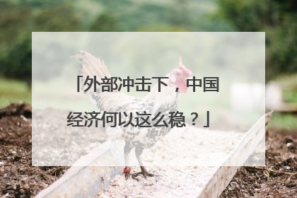 外部冲击下，中国经济何以这么稳？