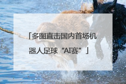 多图直击国内首场机器人足球“AI赛”