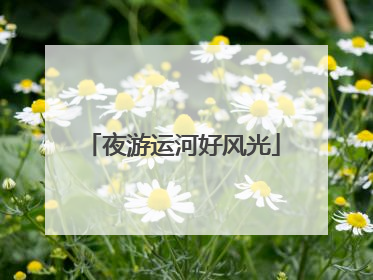 夜游运河好风光