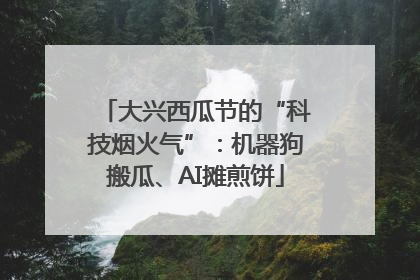 大兴西瓜节的“科技烟火气”：机器狗搬瓜、AI摊煎饼