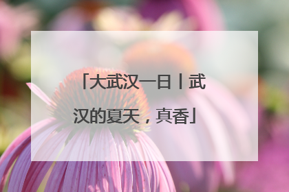 大武汉一日丨武汉的夏天，真香