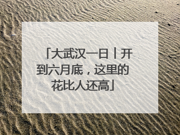 大武汉一日︱开到六月底，这里的花比人还高