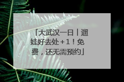 大武汉一日︱遛娃好去处＋1！免费，还无需预约