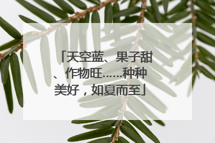 天空蓝、果子甜、作物旺……种种美好，如夏而至