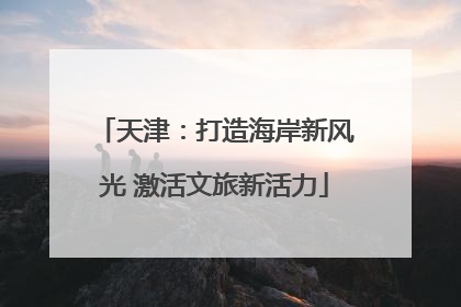 天津：打造海岸新风光 激活文旅新活力
