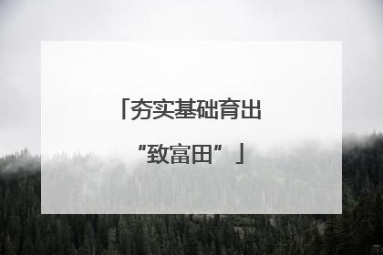 夯实基础育出“致富田”