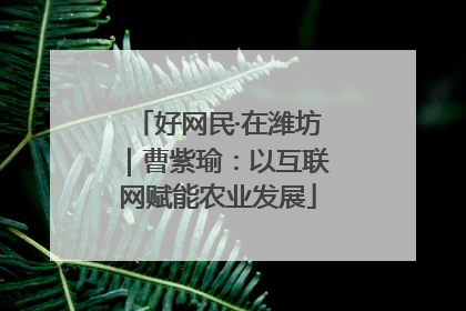好网民·在潍坊｜曹紫瑜：以互联网赋能农业发展