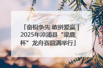 奋楫争先 敢拼爱赢｜2025年漳浦县“梁鹿杯”龙舟赛圆满举行