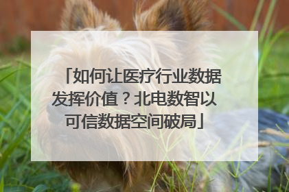 如何让医疗行业数据发挥价值？北电数智以可信数据空间破局