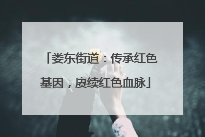 娄东街道：传承红色基因，赓续红色血脉
