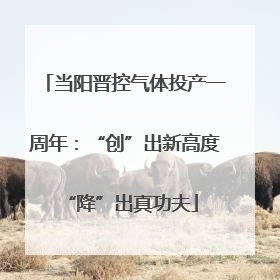 当阳晋控气体投产一周年：“创”出新高度 “降”出真功夫