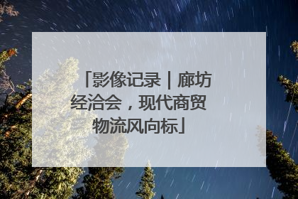 影像记录｜廊坊经洽会，现代商贸物流风向标
