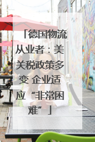 德国物流从业者：美关税政策多变 企业适应“非常困难”