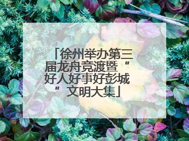 徐州举办第三届龙舟竞渡暨“好人好事好彭城”文明大集