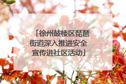 徐州鼓楼区琵琶街道深入推进安全宣传进社区活动
