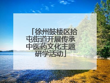 徐州鼓楼区拾屯街道开展传承中医药文化主题研学活动