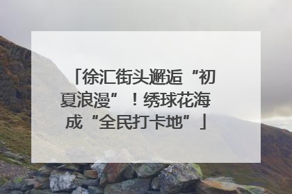 徐汇街头邂逅“初夏浪漫”！绣球花海成“全民打卡地”