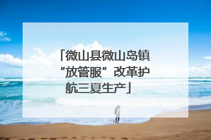 微山县微山岛镇“放管服”改革护航三夏生产