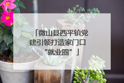 微山县西平镇党建引领打造家门口“就业圈”